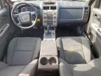 2010 Ford Escape Xlt for Sale in Haslet, TX - Rear End