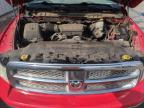 2011 Dodge Ram 1500  იყიდება Littleton-ში, CO - Hail