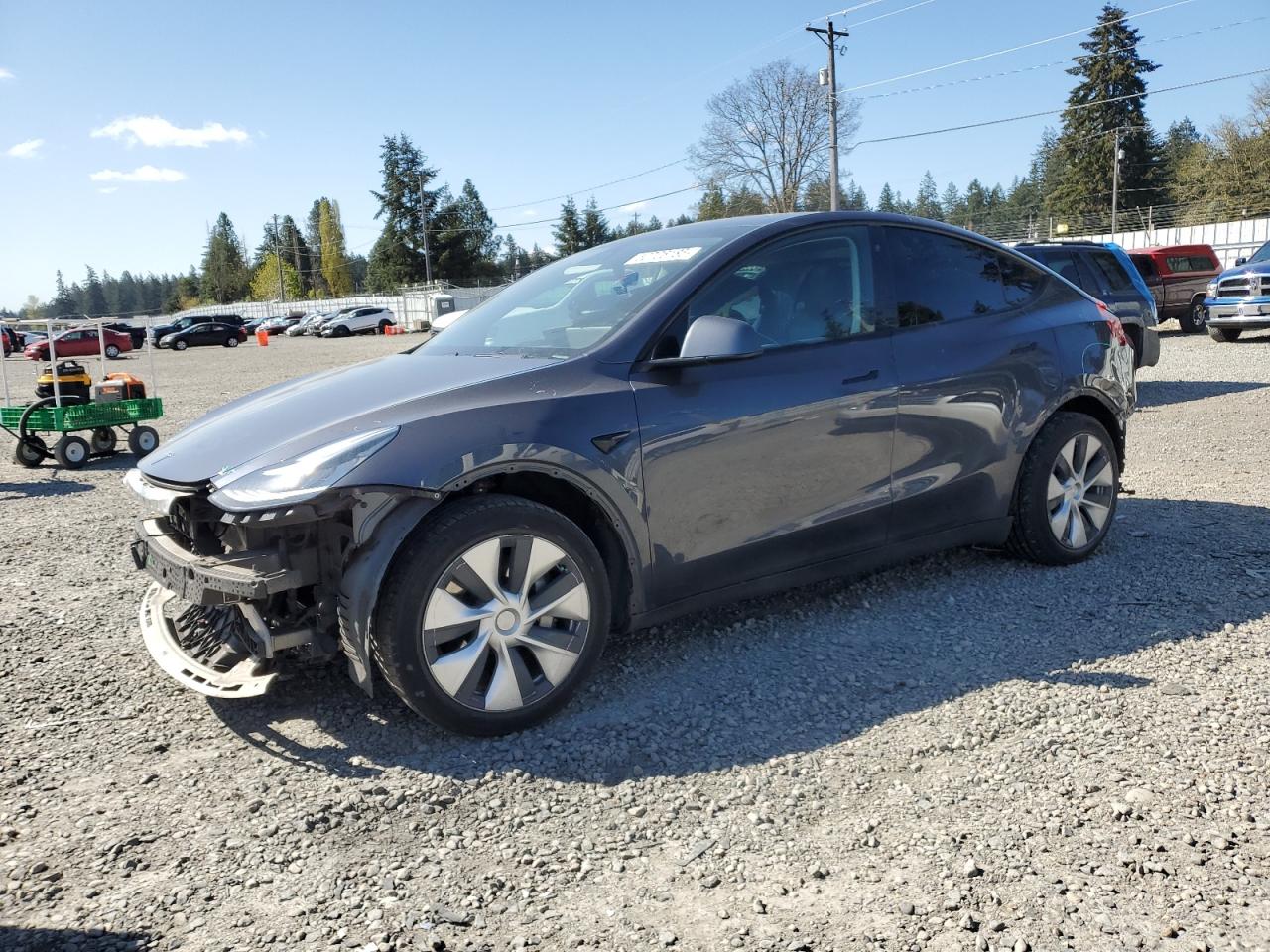 2020 Tesla Model Y