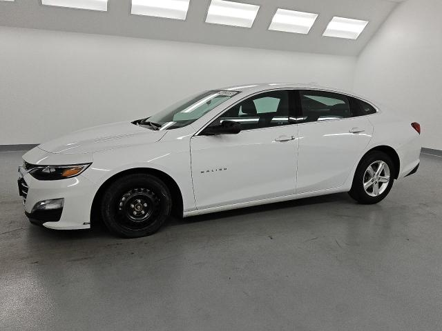  CHEVROLET MALIBU 2023 White