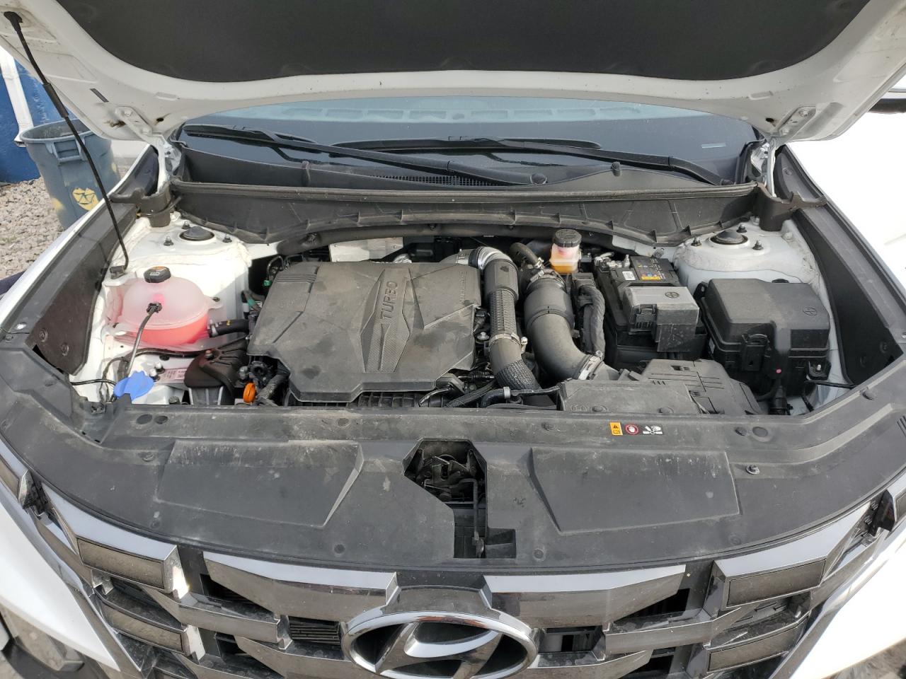 2023 Hyundai Santa Cruz Limited VIN: 5NTJEDAF8PH069811 Lot: 52806245