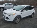 2013 Ford Escape Se на продаже в Marlboro, NY - Minor Dent/Scratches