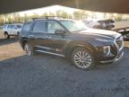 2020 Hyundai Palisade Limited zu verkaufen in Waldorf, MD - Side