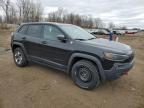 2019 Jeep Cherokee Trailhawk на продаже в Davison, MI - Top/Roof