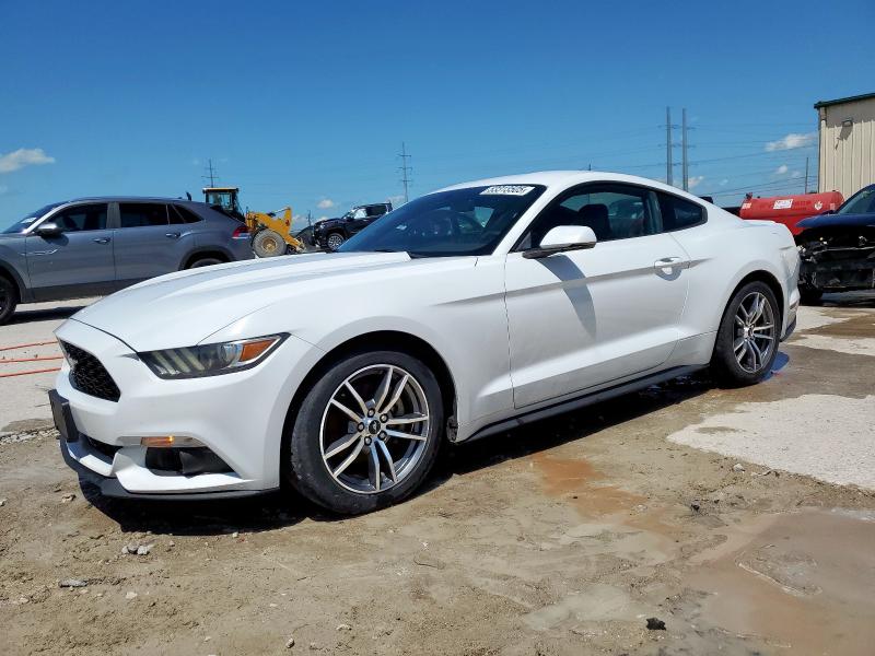  FORD ALL Models 2016 Biały