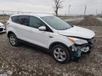 2014 Ford Escape Se for Sale in Cicero, IN - Front End