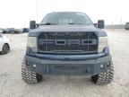 2014 Ford F150 Supercrew en Venta en Taylor, TX - Hail