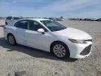 2019 Toyota Camry L იყიდება Earlington-ში, KY - Hail