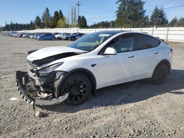  TESLA MODEL Y 2023 Белый