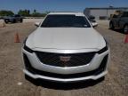 2023 Cadillac Ct5 Luxury na sprzedaż w Mercedes, TX - Water/Flood