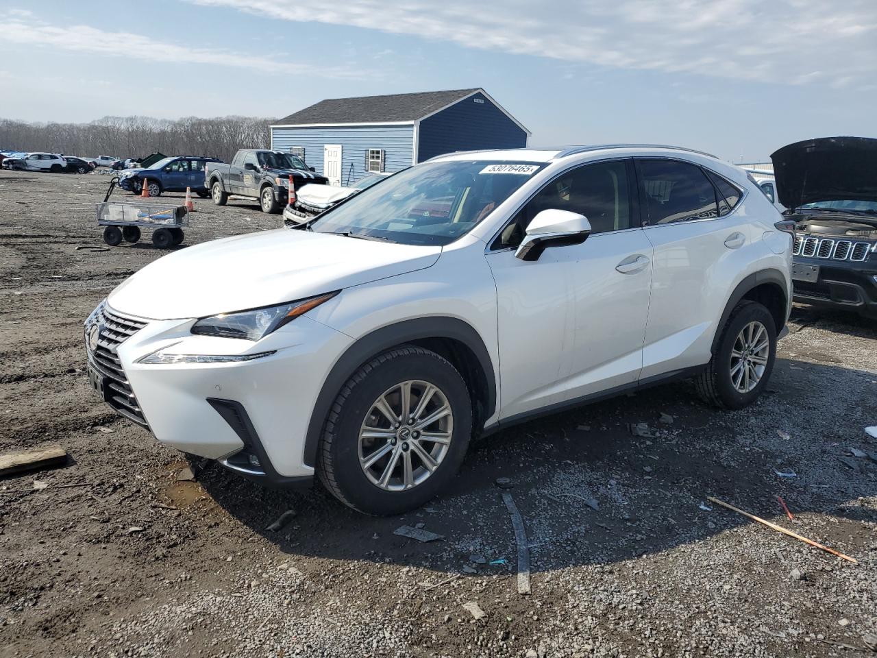 2021 Lexus Nx 300 Base for Sale in Assonet, MA - Front End