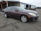 2006 Lexus Es 330 en Venta en Denver, CO - Rear End