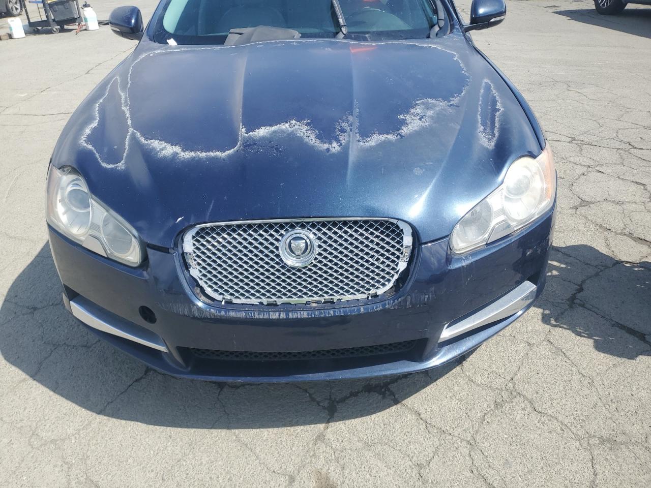 2011 Jaguar Xf VIN: SAJWA0FB5BLR81557 Lot: 51156365