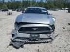 2019 Ford Mustang  for Sale in Houston, TX - All Over