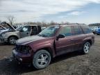 2007 Chevrolet Trailblazer Ls للبيع في Des Moines، IA - Front End