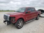 2014 Ford F150 Supercrew იყიდება Taylor-ში, TX - Front End
