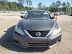 2017 Nissan Altima 2.5 for Sale in Greenwell Springs, LA - Normal Wear