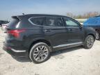 2023 Hyundai Santa Fe Calligraphy for Sale in Wayland, MI - Rear End