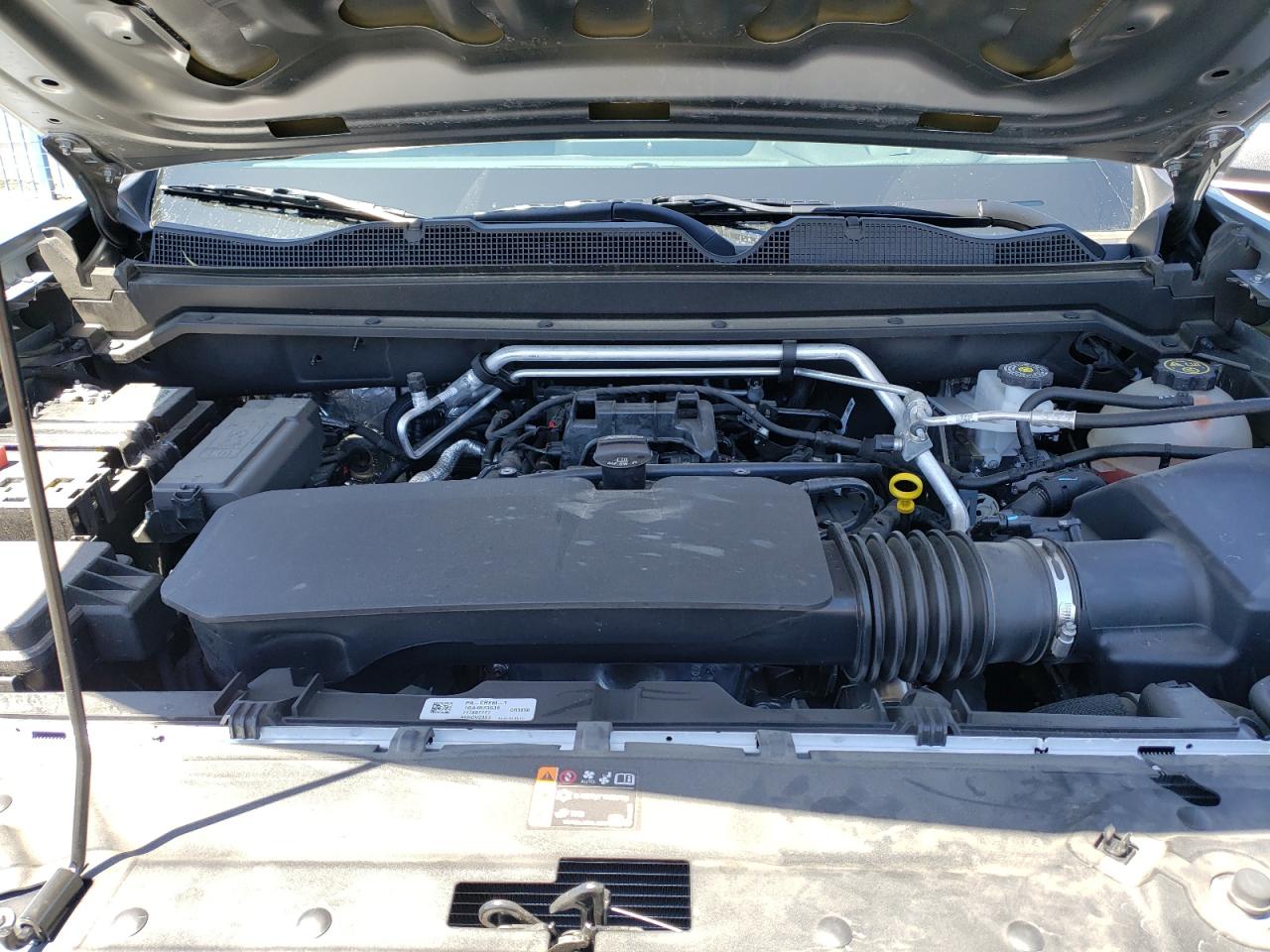 2023 Chevrolet Colorado VIN: 1GCPSBEK7P1254095 Lot: 54988145