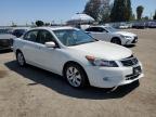 2008 Honda Accord Exl zu verkaufen in Van Nuys, CA - Front End