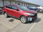 2019 Ford Escape Sel for Sale in Louisville, KY - Front End