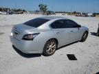 Riverview, FL에서 판매 중인 2013 Nissan Maxima S - Normal Wear