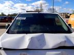 2019 PEUGEOT EXPERT PROFESSIONAL L1 BL  for sale at Copart SANDY