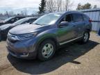 2019 HONDA CR-V TOURING à vendre chez Copart ON - TORONTO