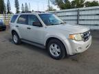 2009 Ford Escape Xlt იყიდება Miami-ში, FL - Front End