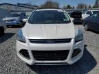2013 Ford Escape Sel for Sale in Albany, NY - Normal Wear