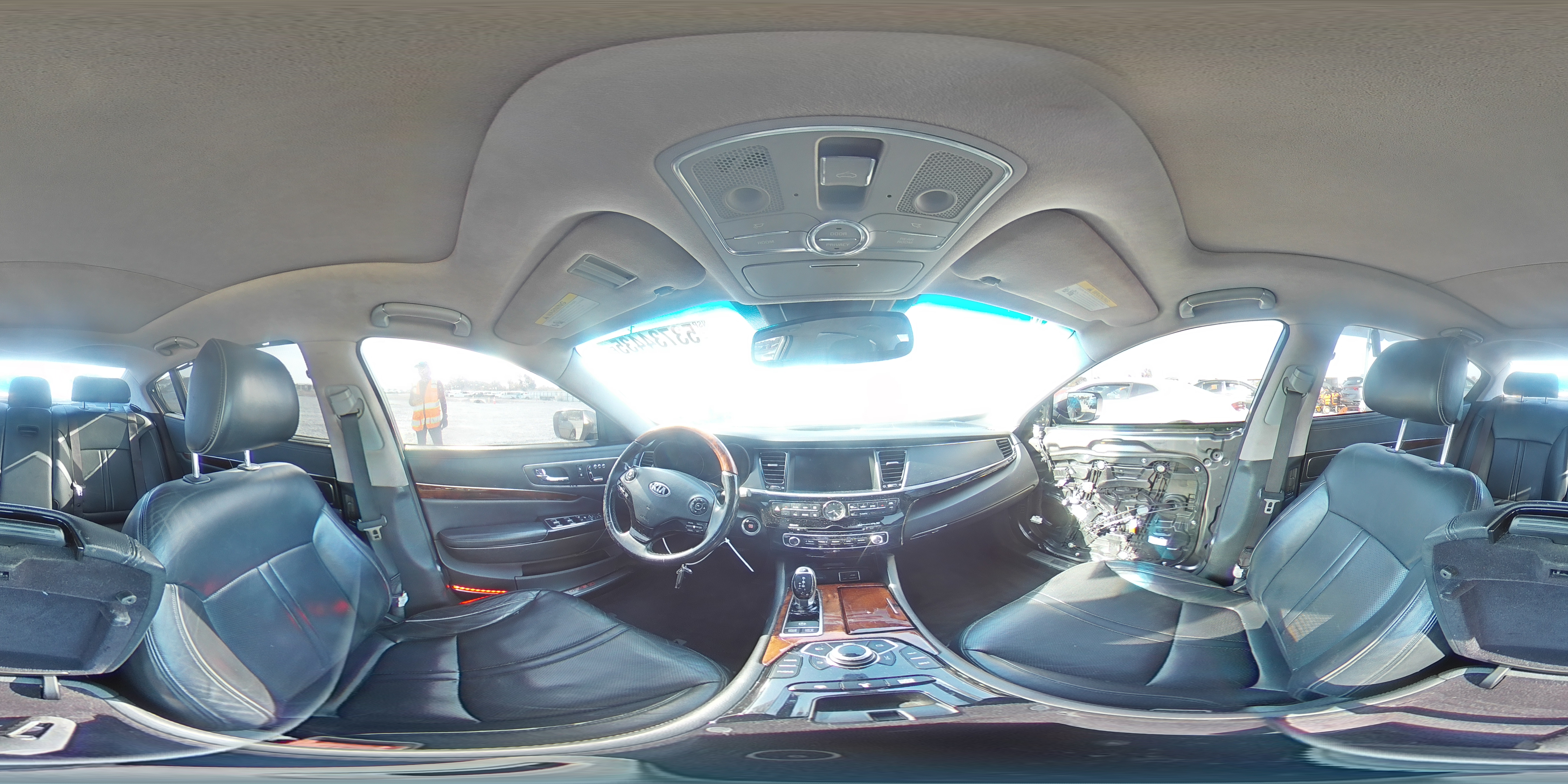 2015 Kia K900 VIN: KNALW4D46F6019798 Lot: 53734435