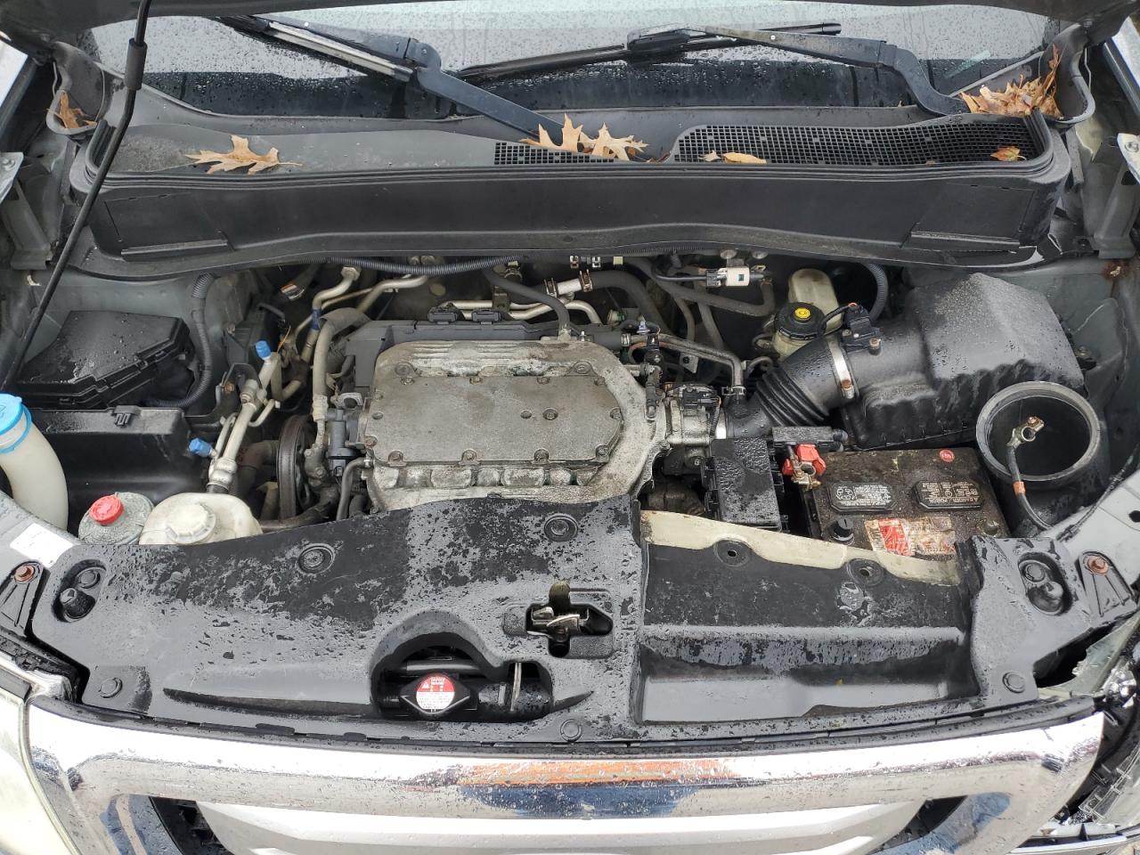 2011 Honda Pilot Lx VIN: 5FNYS4H29BB008565 Lot: 51809915