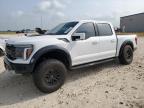 2024 Ford F150 Raptor zu verkaufen in Temple, TX - Rear End