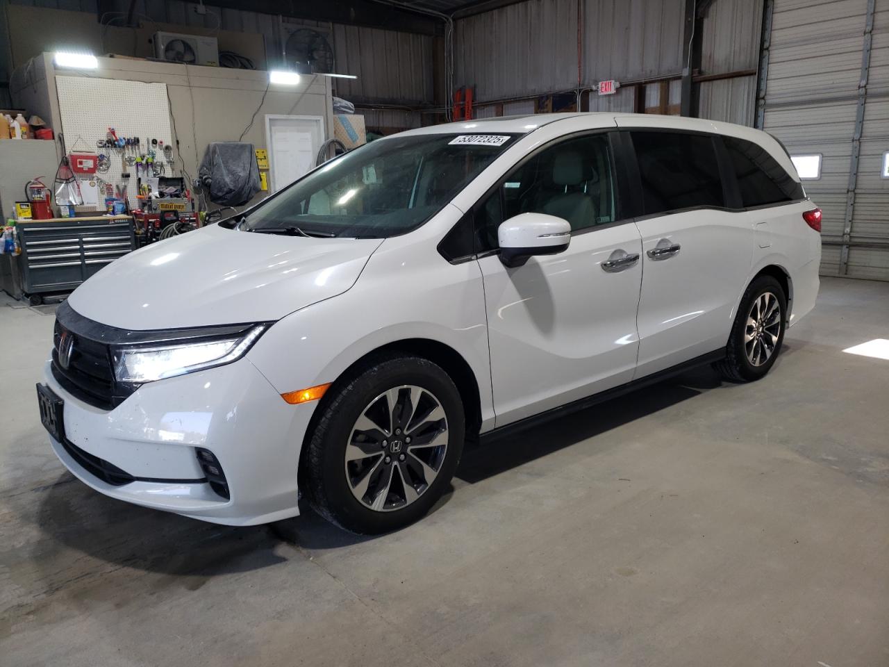 2024 Honda Odyssey Exl for Sale in Rogersville, MO - Minor Dent/Scratches