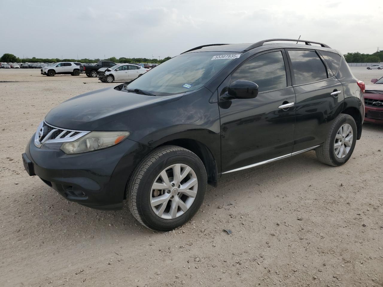 2014 Nissan Murano S for Sale in San Antonio, TX - Hail