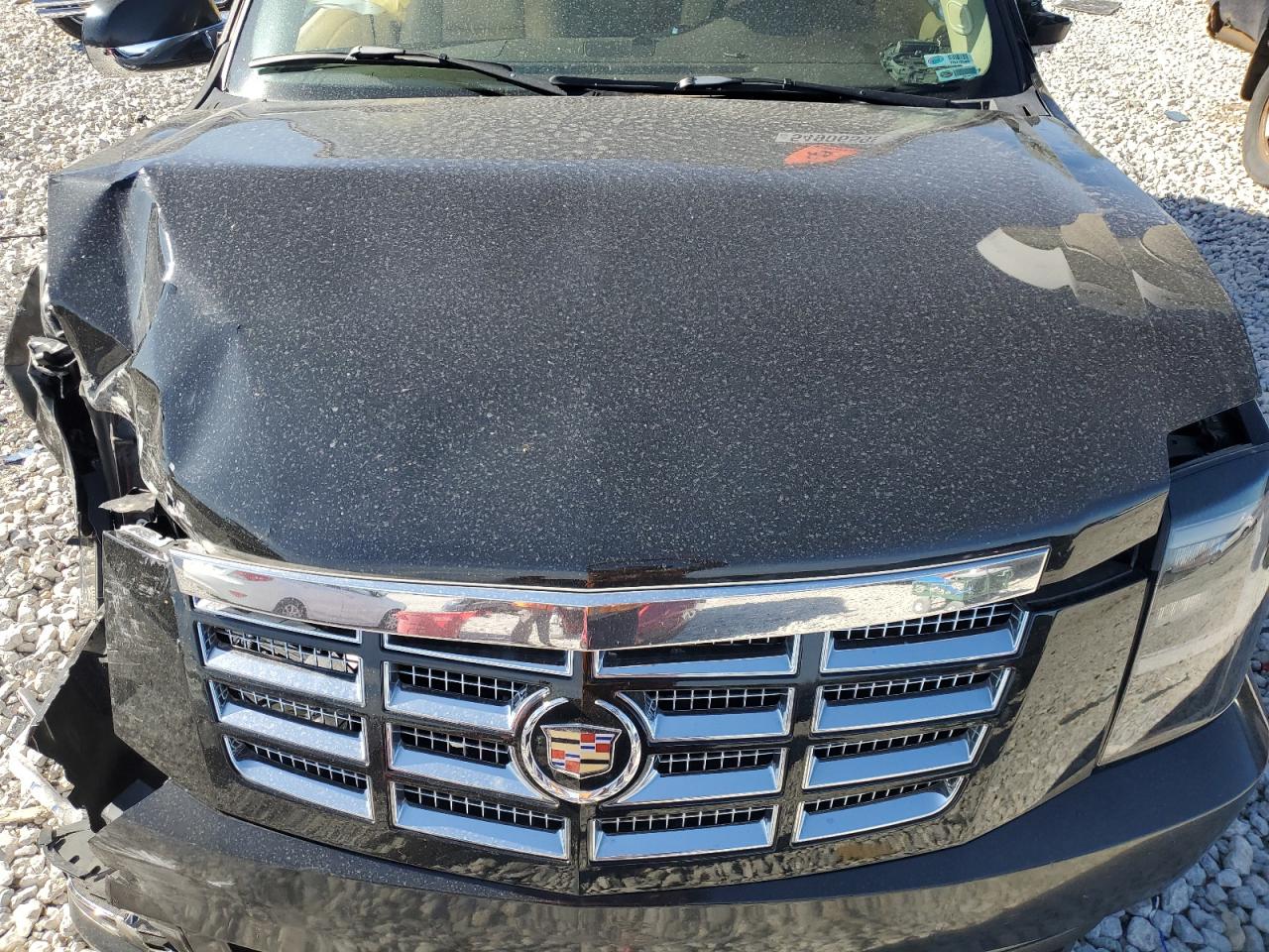 2007 Cadillac Escalade Luxury VIN: 1GYFK63897R338828 Lot: 54906595
