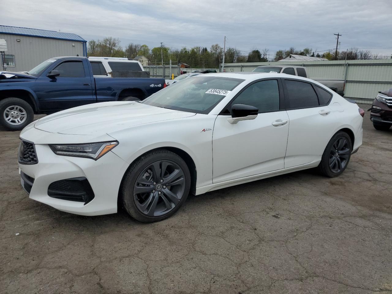 2023 Acura Tlx Tech A for Sale in Pennsburg, PA - Vandalism