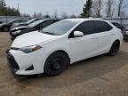 2019 TOYOTA COROLLA L à vendre chez Copart ON - TORONTO