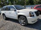 2013 Cadillac Escalade Premium იყიდება Riverview-ში, FL - Minor Dent/Scratches