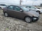 2013 Kia Forte Ex იყიდება Cicero-ში, IN - Front End