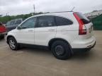 2011 Honda Cr-V Exl na sprzedaż w Louisville, KY - All Over