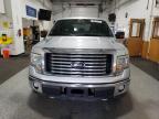 2011 Ford F150 Supercrew იყიდება Anchorage-ში, AK - Normal Wear