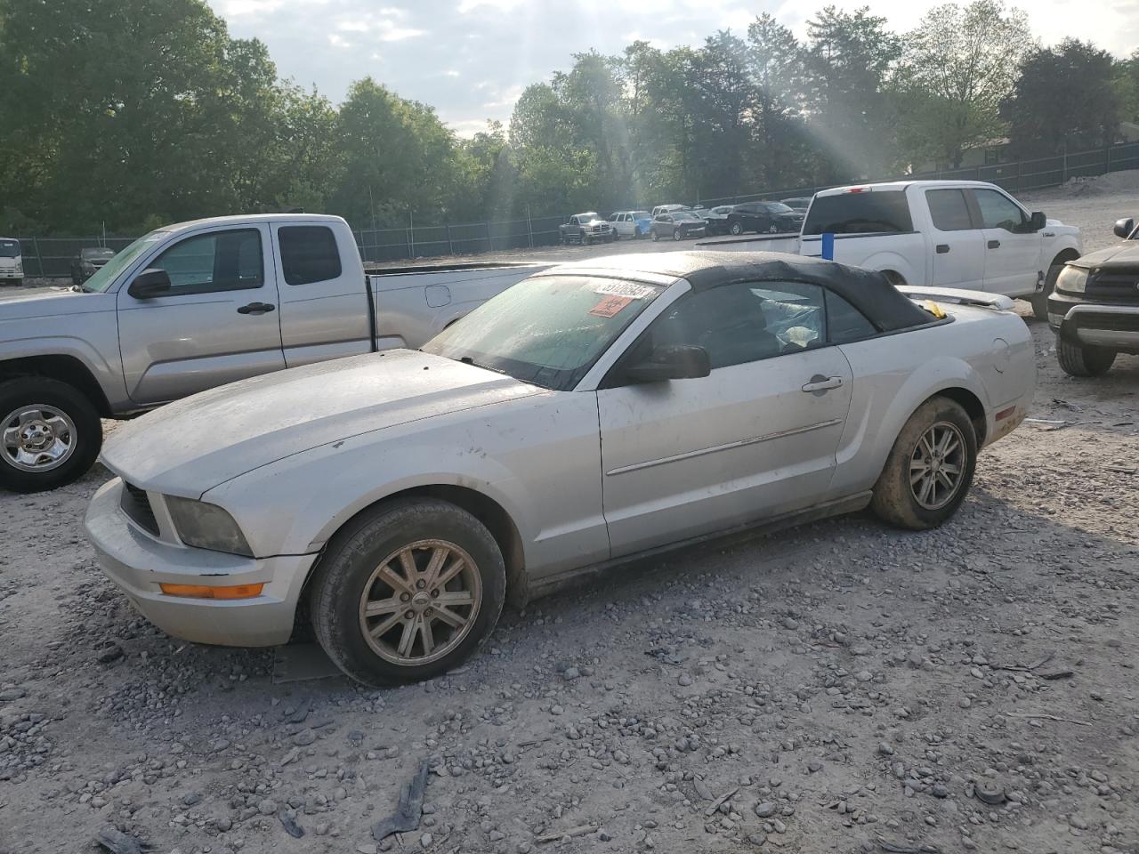 2006 Ford Mustang იყიდება Madisonville-ში, TN - Top/Roof