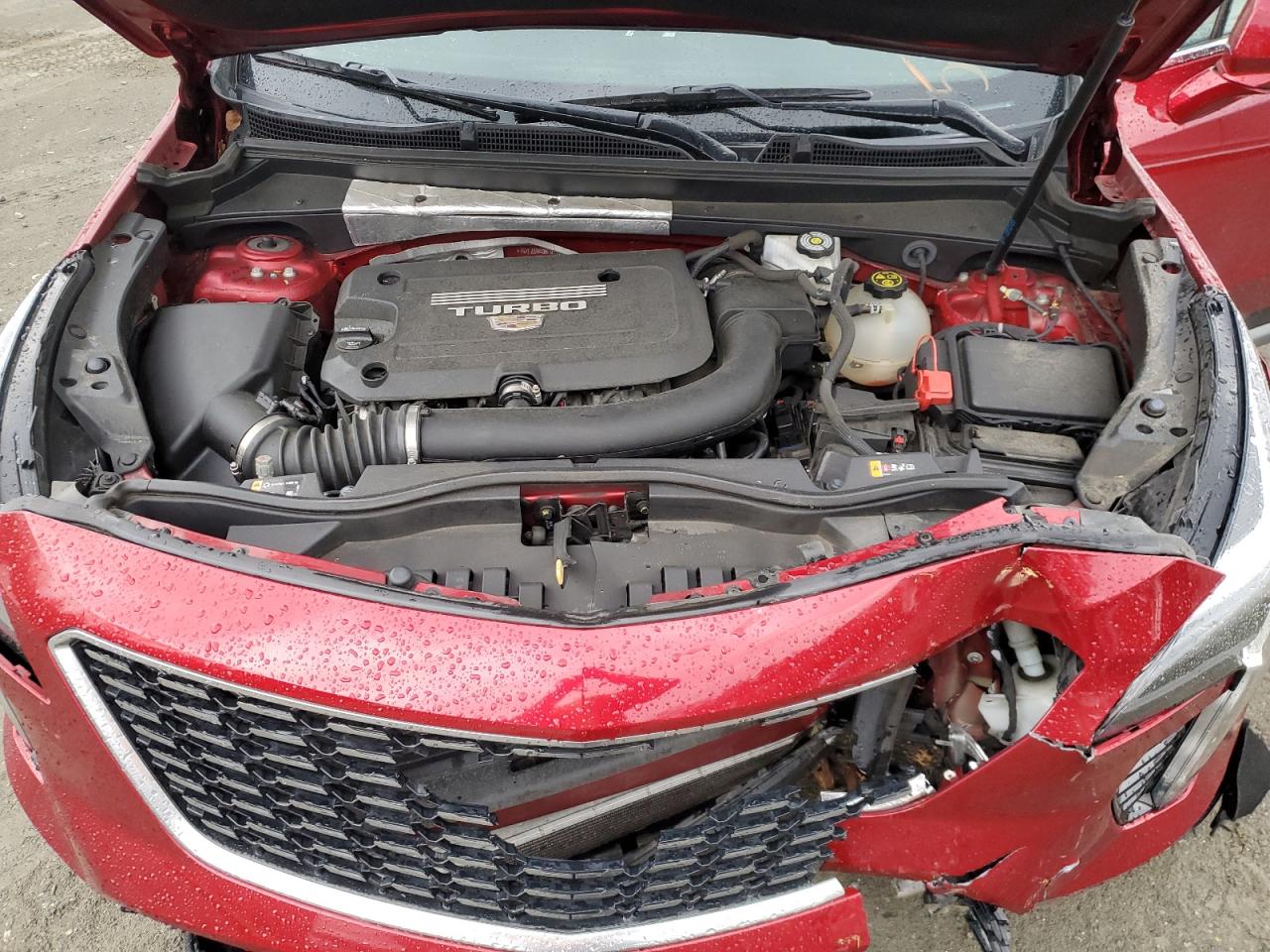 2021 Cadillac Xt4 Premium Luxury VIN: 1GYFZCR40MF011603 Lot: 53068825