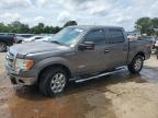 2013 Ford F150 Supercrew de vânzare în Shreveport, LA - Undercarriage