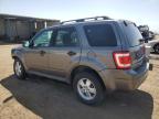 2011 Ford Escape Xlt na sprzedaż w Brighton, CO - Hail