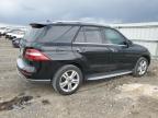2013 Mercedes-Benz Ml 350 4Matic للبيع في Earlington، KY - Hail