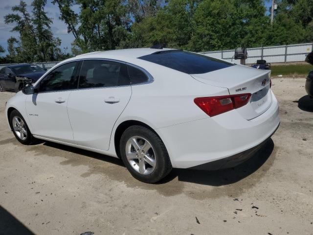  CHEVROLET MALIBU 2023 Белый