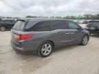 2019 Honda Odyssey Exl იყიდება Houston-ში, TX - Front End