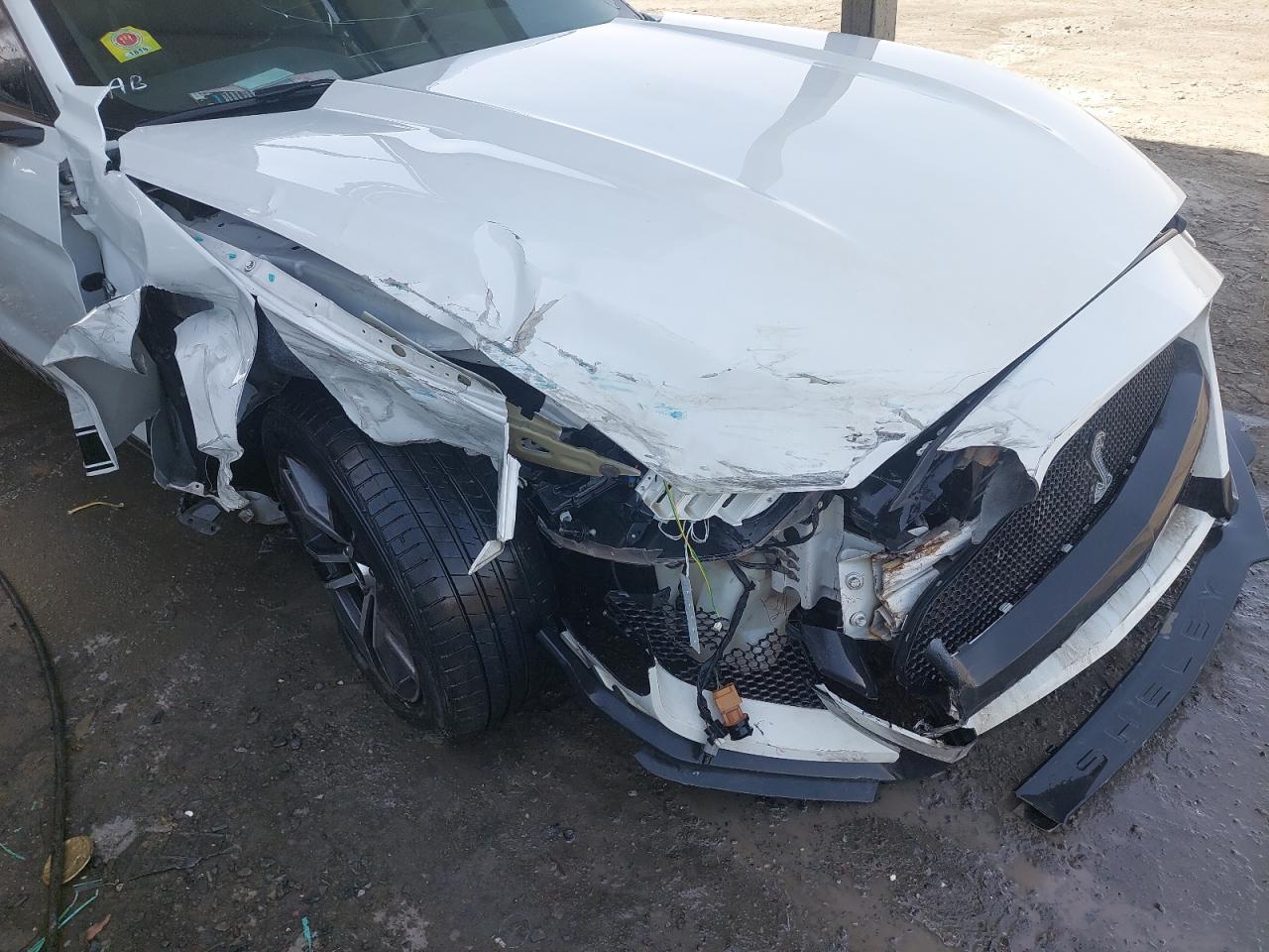 1FA6P8TH8H5295245 - 2017 Ford MUSTANG - #undefined